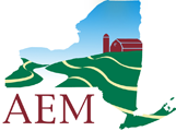 aem-logo