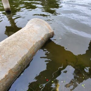 Low water, weed mats, Pultneyville Harbor