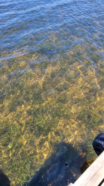 Blind Sodus Bay Clear Water