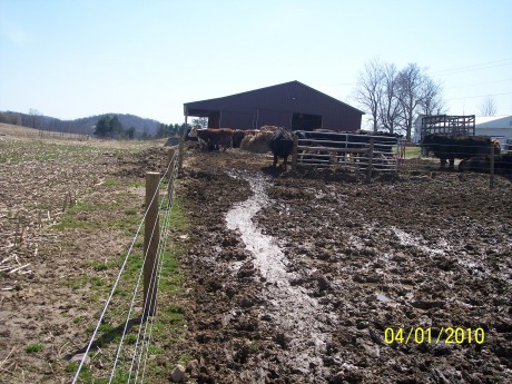 Olson barnyard before