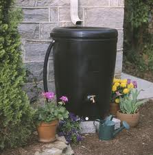 Rain Barrel 2