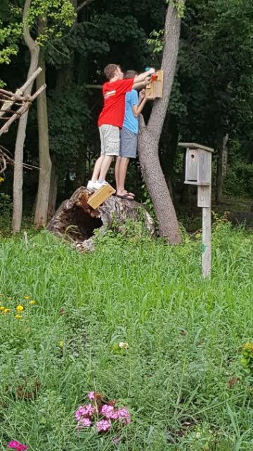 Sean and Cooper hanging bird feeders