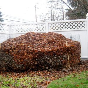 composting-leaves