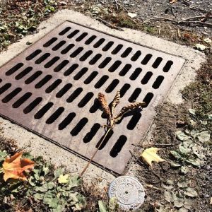 storm_drains