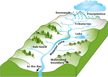 What Are Watersheds And Drainage Basins? - WorldAtlas